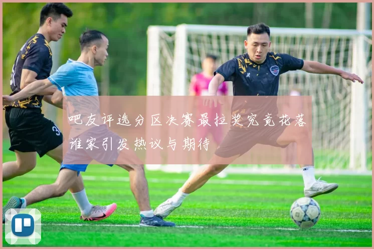 吧友评选分区决赛最拉奖究竟花落谁家引发热议与期待